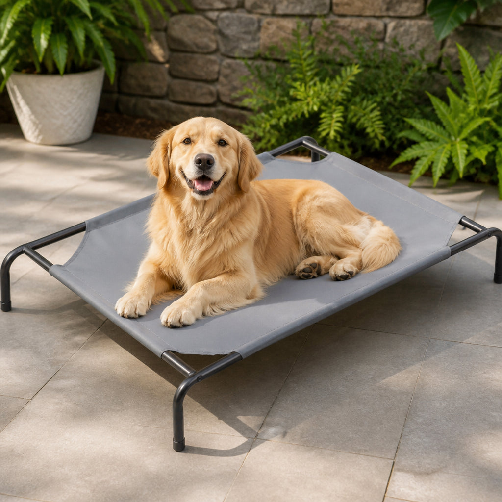 DogBedHouse Cooling Breathable Mesh Elevated Dog Bed – M 36x25 inch