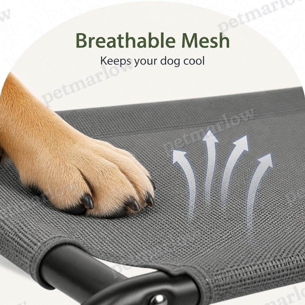 DogBedHouse Cooling Breathable Mesh Elevated Dog Bed – view 6