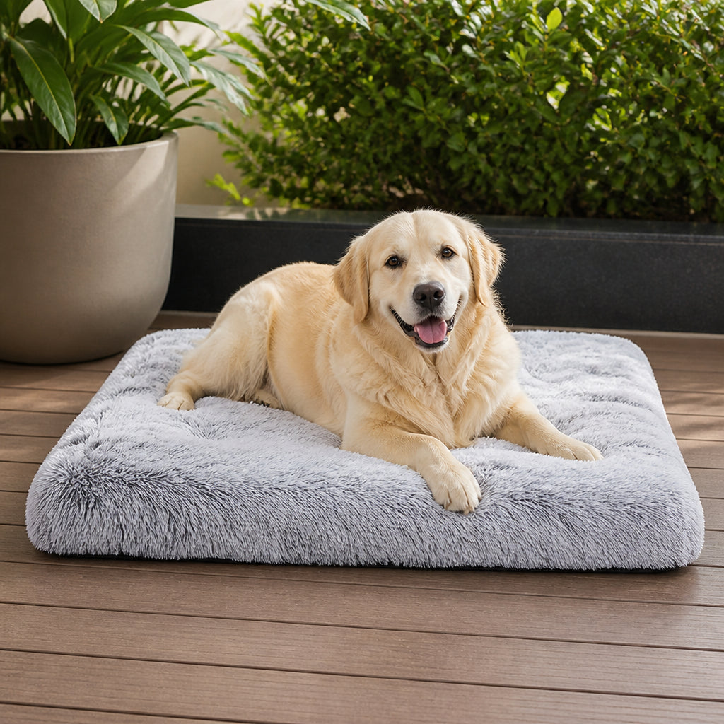 Petmarlow Cozy Plush & Detachable Cover Dog Bed