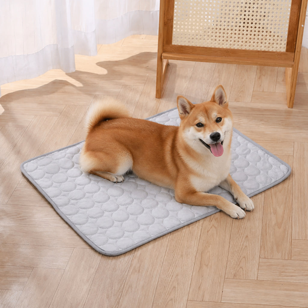 Petmarlow Dual-Sided Ice Silk Cooling Pet Mat (Machine Washable) – GRAY / XS - 15.7 in × 11.8 in