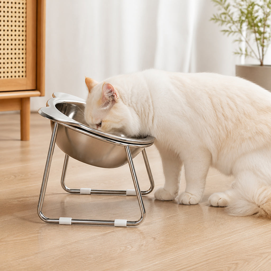 Petmarlow Elevated 15° Tilt Stainless Steel Cat Bowl