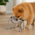 Petmarlow Elevated 15° Tilt Stainless Steel Cat Bowl – 1pc Bowl-1pc Holder
