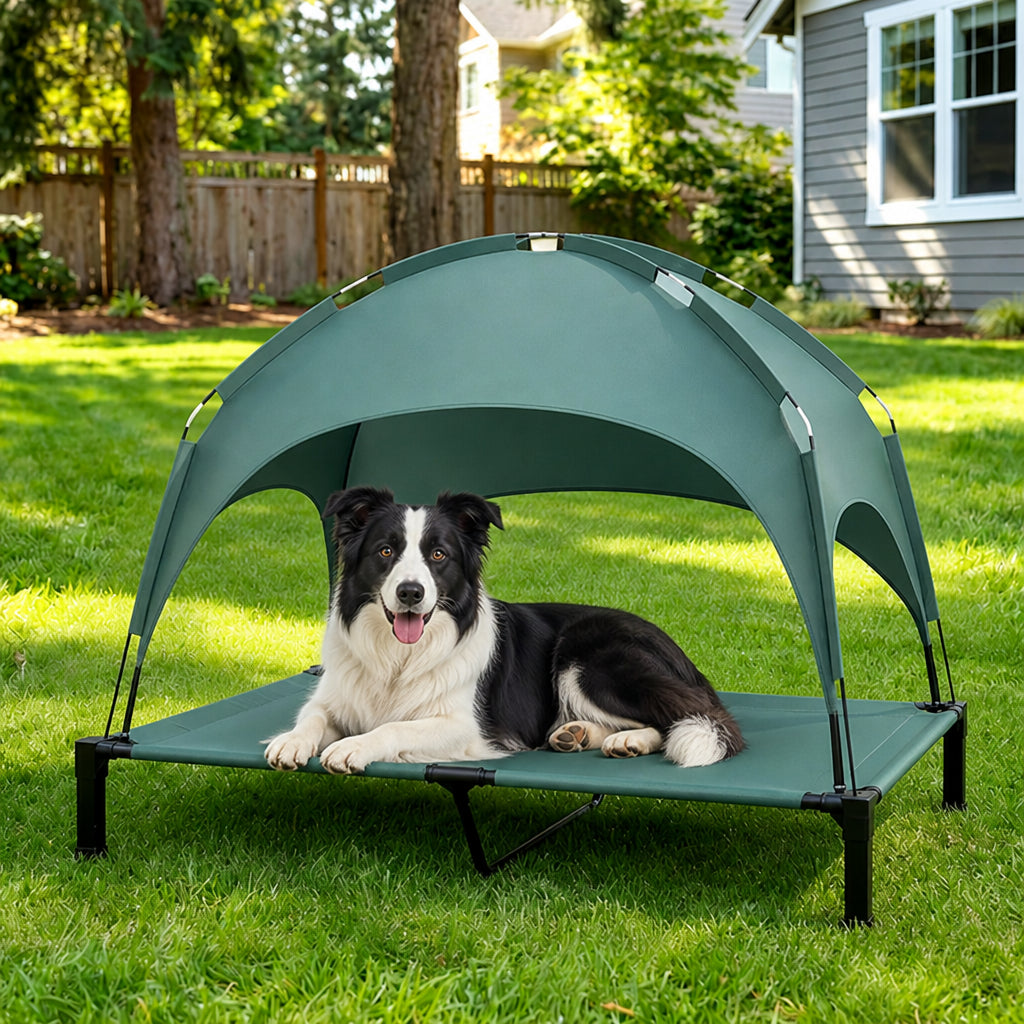 Petmarlow Elevated Aluminum Outdoor Dog Bed (Removable Canopy)