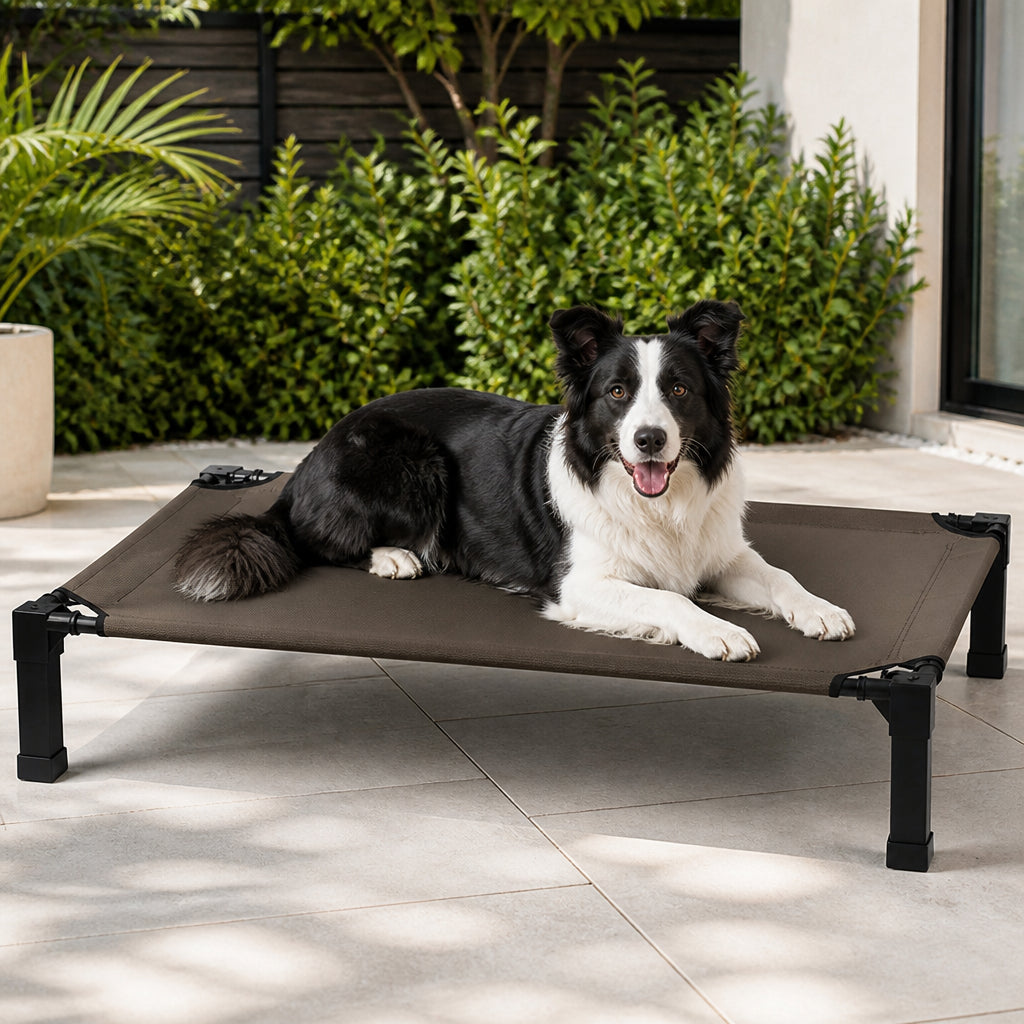 Petmarlow Elevated Aluminum Outdoor Dog Bed (Removable Canopy) – Brown / Small - 42 Inch