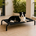 Petmarlow Elevated Breathable Mesh & Canopy Dog Bed