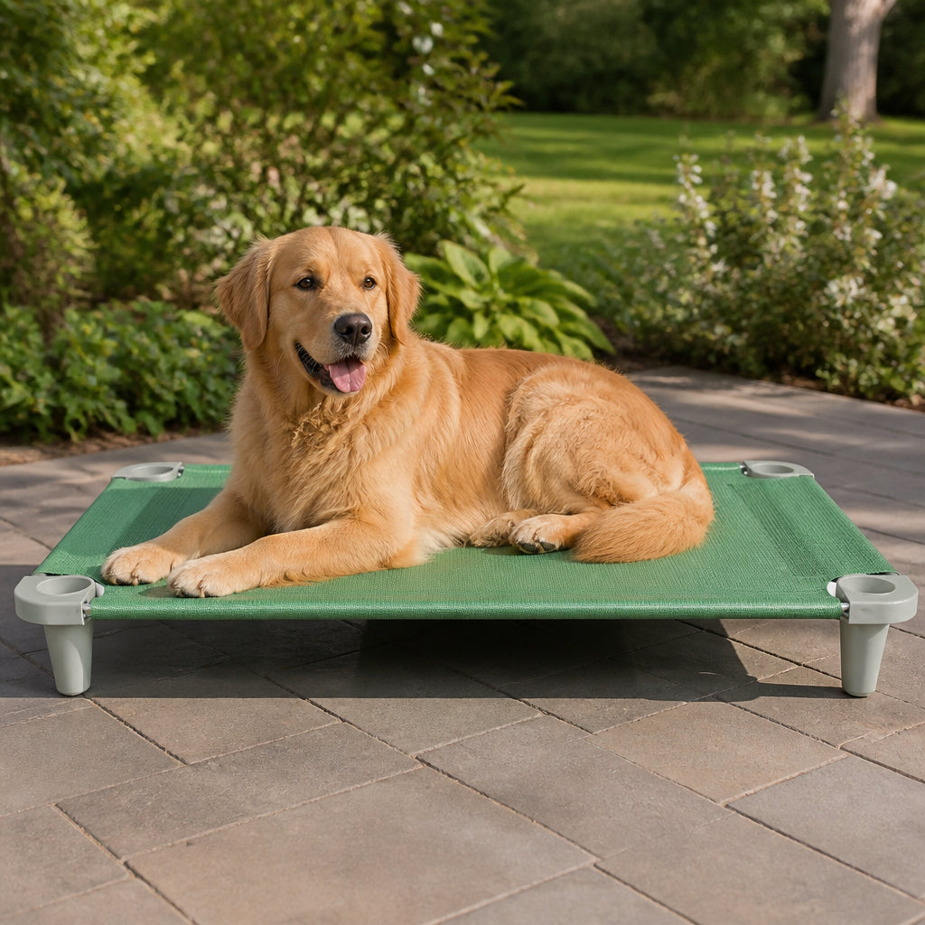 Petmarlow Elevated Cooling Breathable Mesh Dog Bed (Stainless Steel Frame) – green