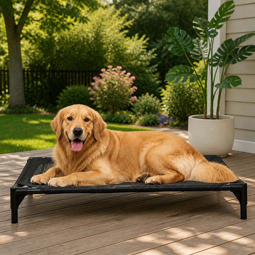 Petmarlow Elevated Cooling Mesh Dog Bed