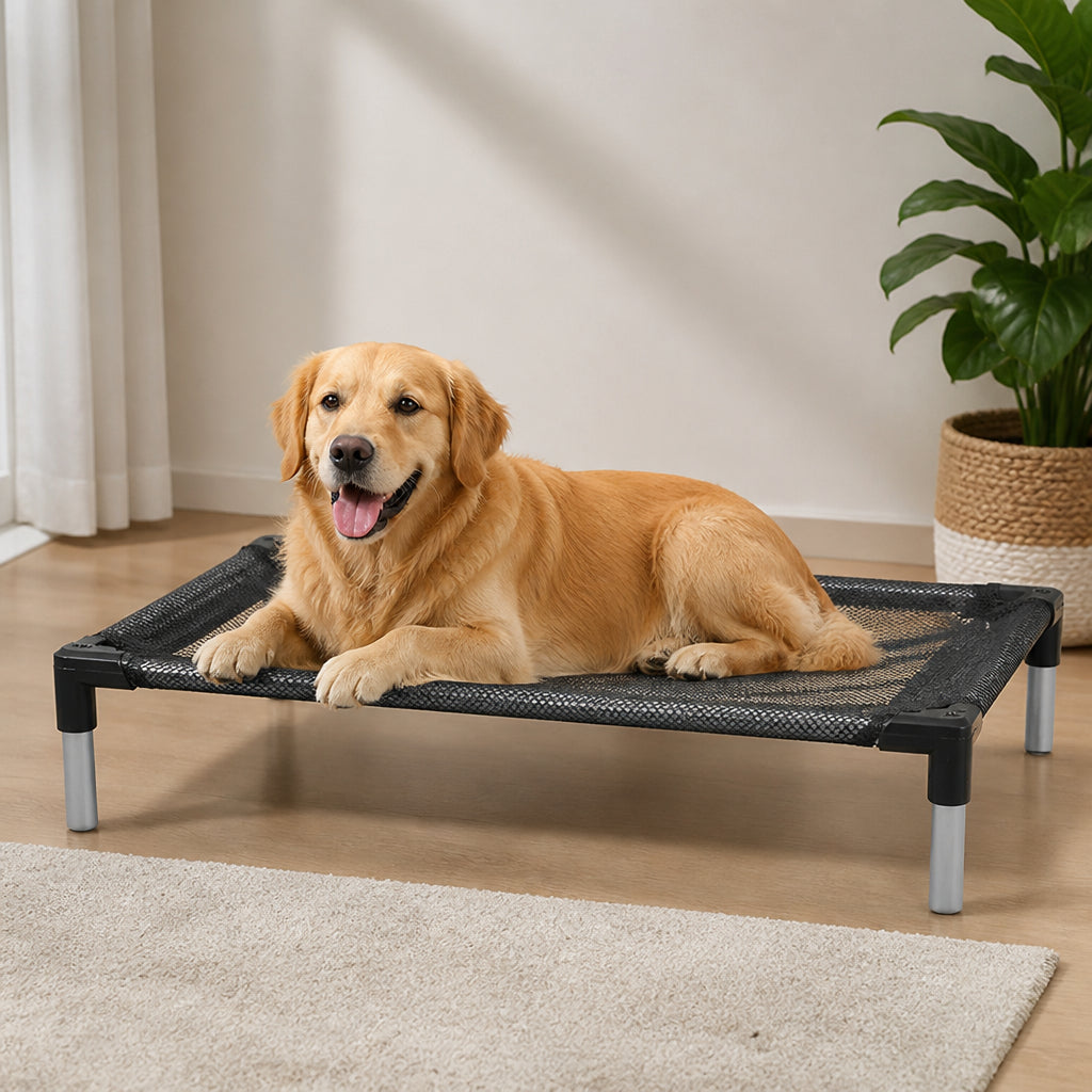 Petmarlow Elevated Cooling Mesh Dog Bed – S - 19.7 x 19.7 x 4.7 in