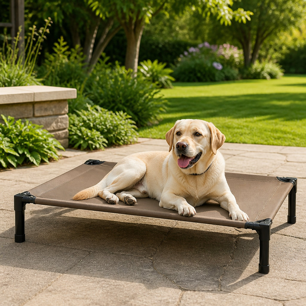 Petmarlow Elevated Cooling & Portable Dog Cot (Removable Canopy)