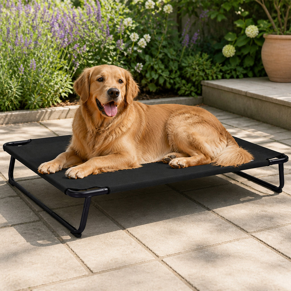 Petmarlow Elevated Iron Frame & Breathable Dog Bed (No Filler)