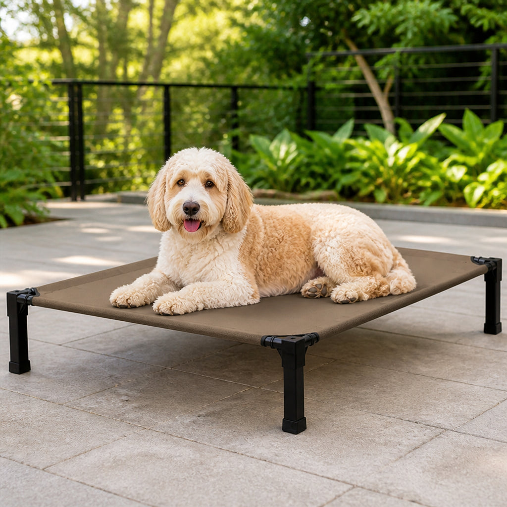 Petmarlow Elevated Washable Breathable Mesh Dog Bed