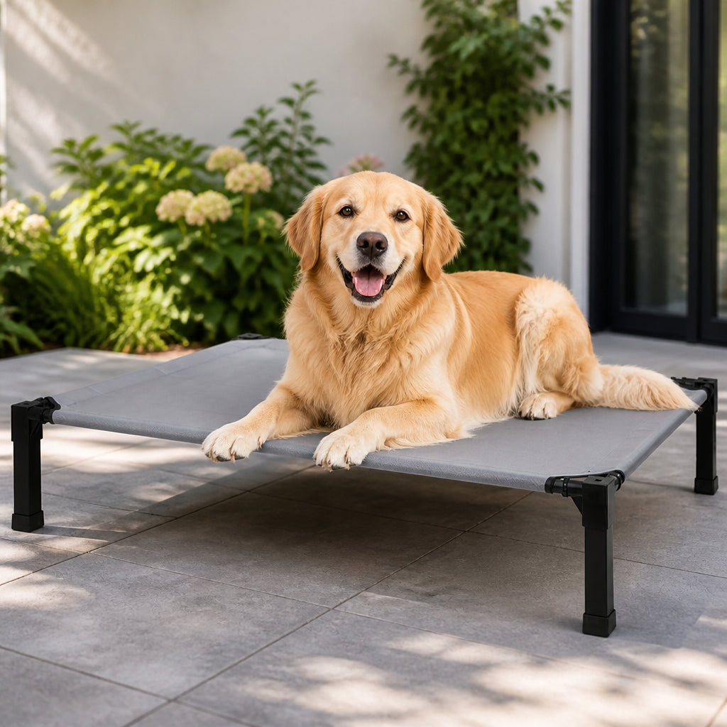 Petmarlow Elevated Washable Breathable Mesh Dog Bed – Grey / Small - 35'' x 25'' x 7''