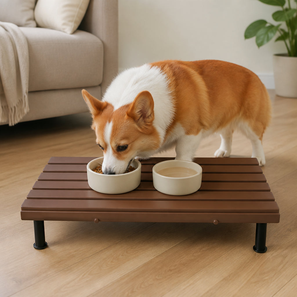 Petmarlow Fixed-Height Ergonomic Plastic Feeding Stand – Brown