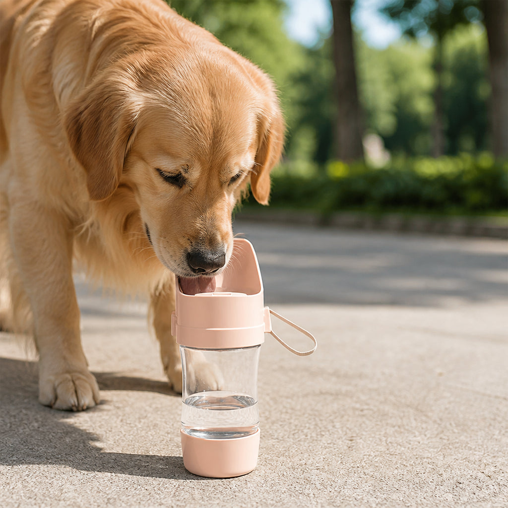 Petmarlow Foldable 2-In-1 Travel Water Bottle (Integrated Bowl) – Pink