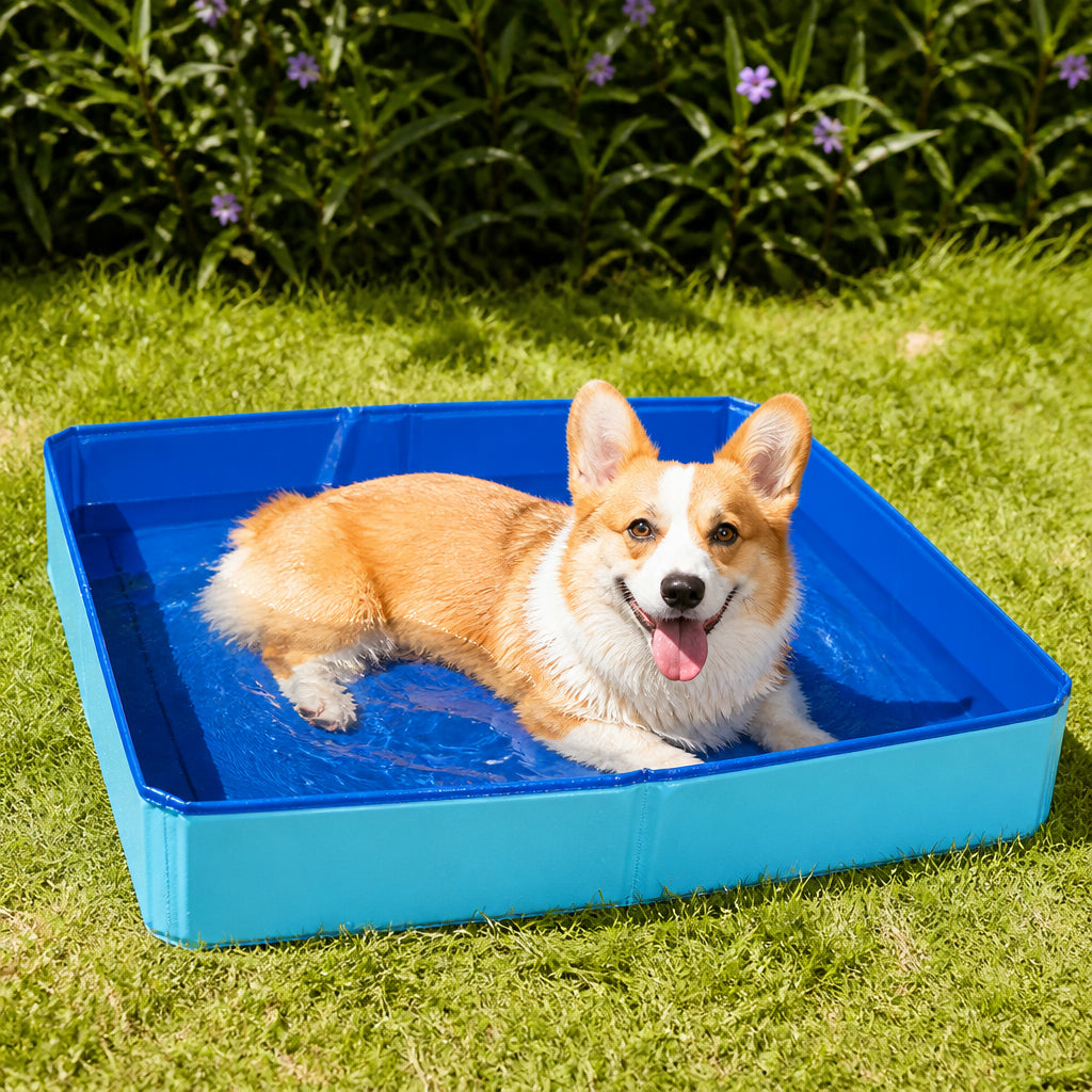Petmarlow Foldable Non-Inflatable Anti-Slip Pet Pool