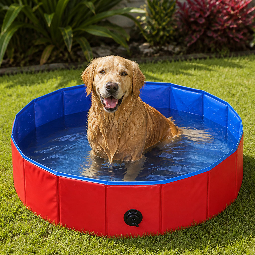 DogBedHouse Foldable Portable Dog Pool (Drain Valve) – Red / S - 31.5 in × 7.9 in
