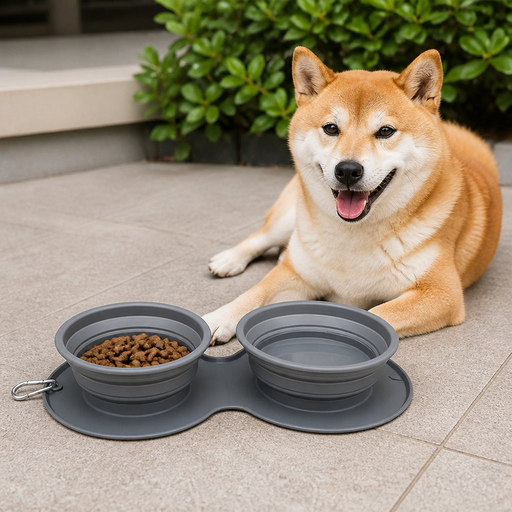 Petmarlow Foldable Silicone Anti-Slip Travel Bowl