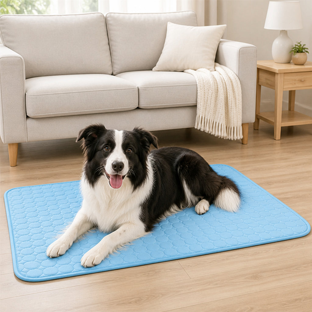 Petmarlow Ice-Cool Contact-Activated Pet Mat