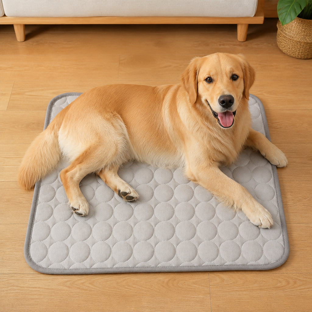 Petmarlow Ice-Cool Contact-Activated Pet Mat – Grey / XS