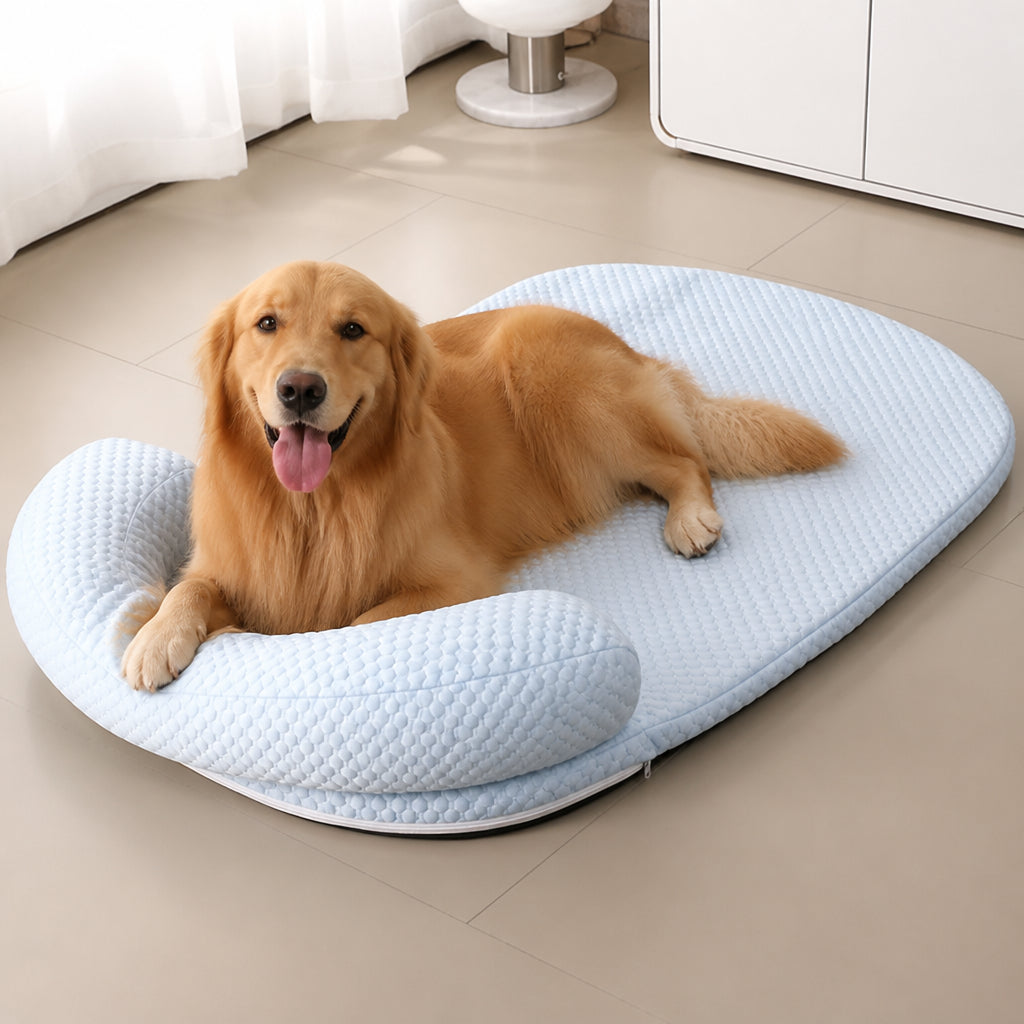 Petmarlow Ice Silk Cooling 3D Egg Foam Dog Bed