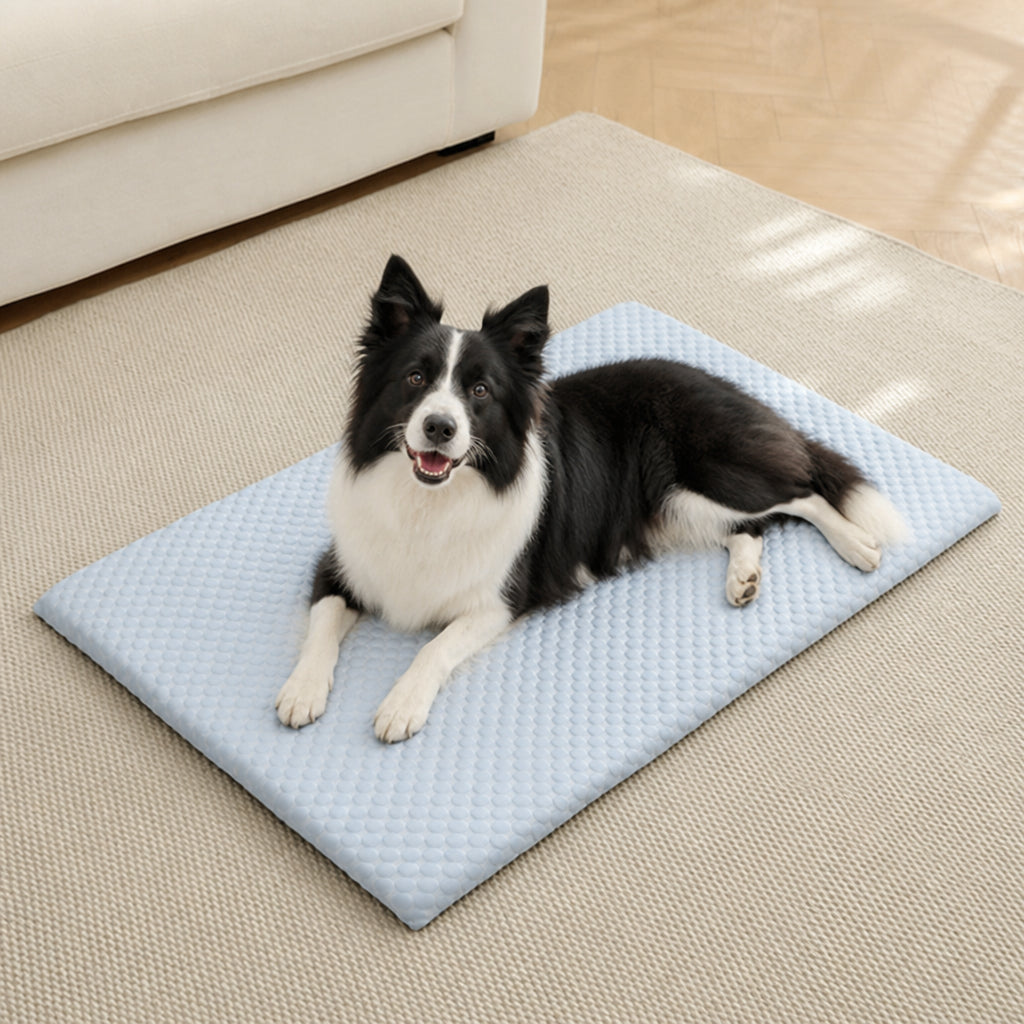 Petmarlow Ice Silk Cooling & Non-Slip Washable Pet Mat – Blue / S - 17.7 × 11.8 in