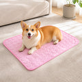 Petmarlow Ice Silk & Non-Slip Pet Mat (Machine Washable) – Pink / S