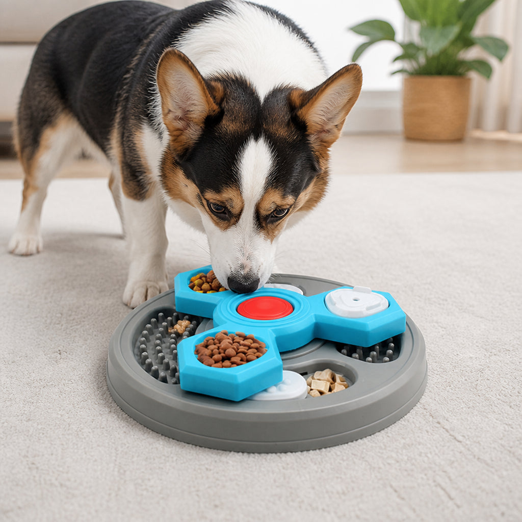 Petmarlow Interactive Multi-Layer & Non-Slip Slow Feeder Bowl