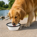 Petmarlow Large Capacity Collapsible Travel Dog Bowl – White / S - 12 fl oz