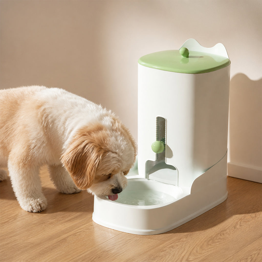 Petmarlow Large Capacity Gravity-Fed Ceramic Pet Feeder & Water Dispenser – green feeding