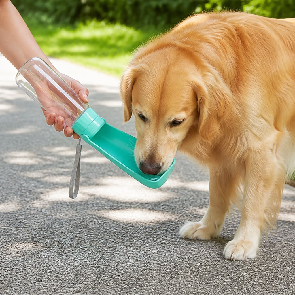 Petmarlow Leak-Proof Foldable Pet Water Bottle