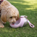 Petmarlow Leak-Proof Stainless Steel Dog Water Bottle (Removable Bowl) – Pink