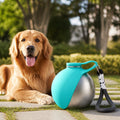 Petmarlow Leak-Proof Stainless Steel & Silicone Travel Water Bottle – Blue