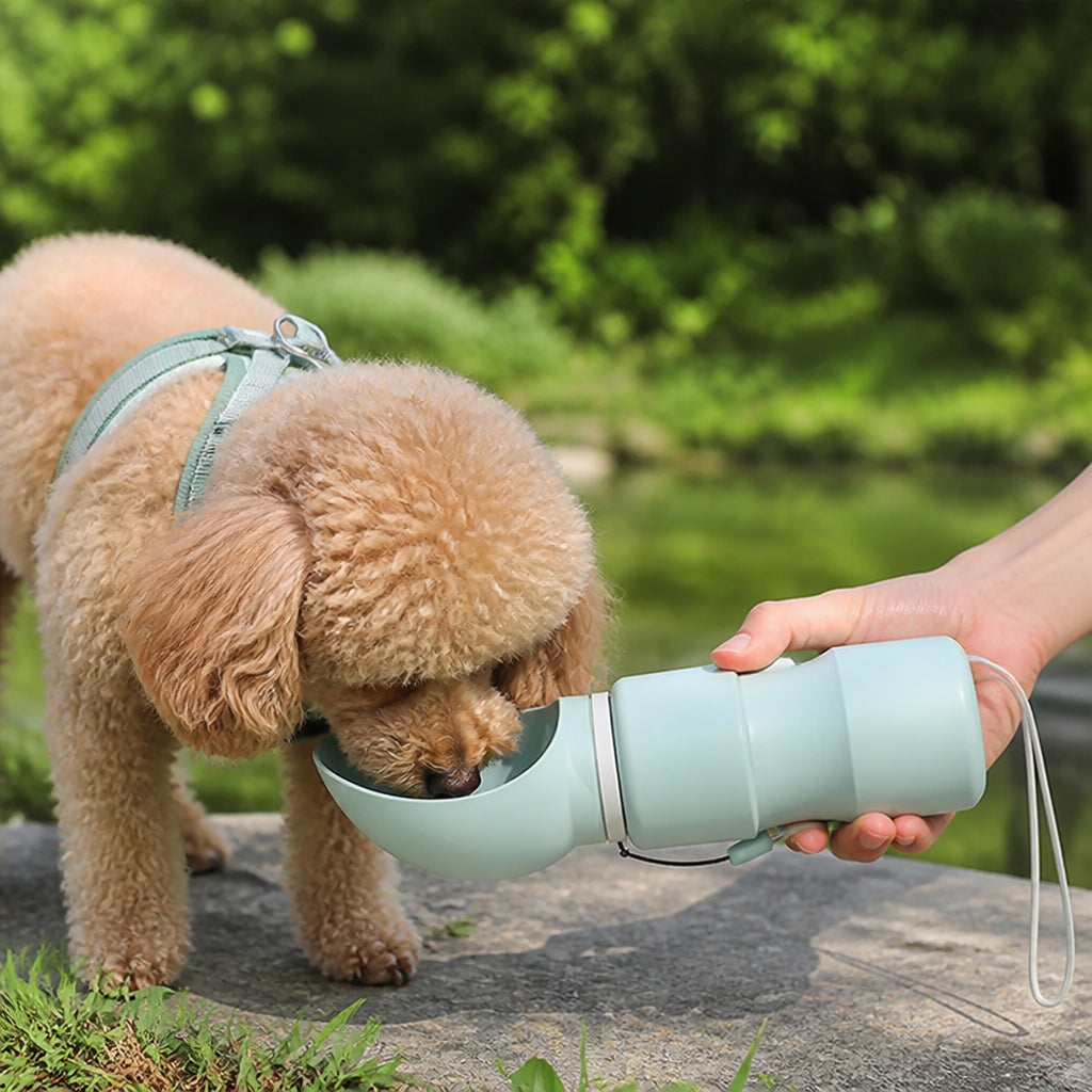 Petmarlow Leakproof Foldable Food-Grade Silicone Dog Water Bottle