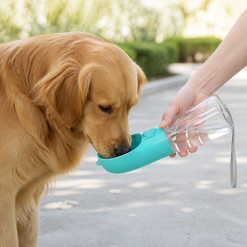 Petmarlow Leakproof & Water-Saving Travel Water Bottle