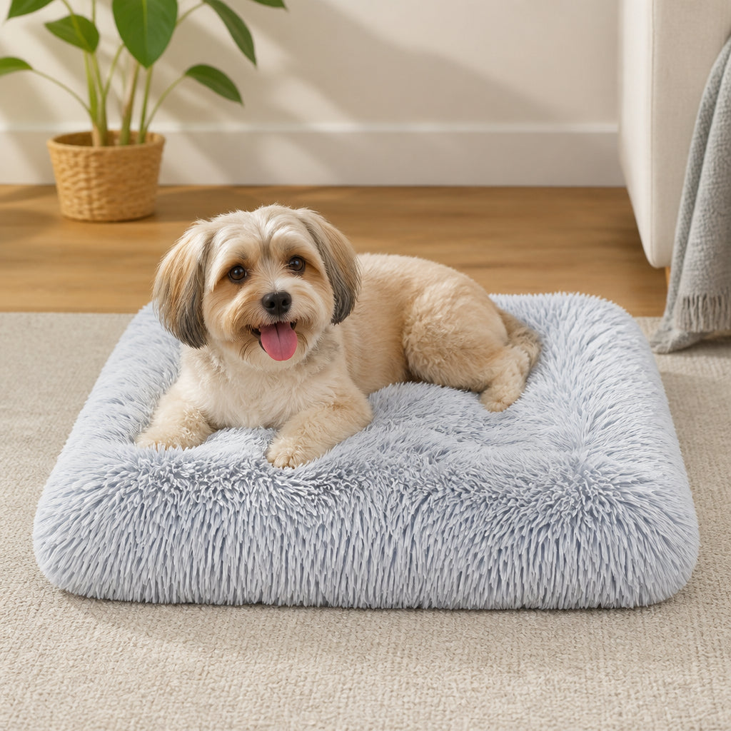 Petmarlow Plush Lined Polyester Fill Dog Bed (Removable Cover) – Light Gray / S (17.6 inches * 11.7 inches)