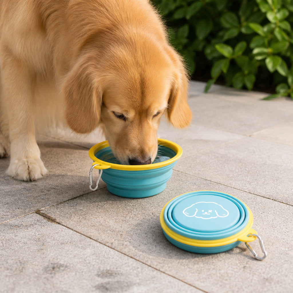Petmarlow Portable Collapsible Silicone Pet Bowl (Leash Clip)