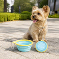Petmarlow Portable Collapsible Silicone Pet Bowl (Leash Clip) – dog