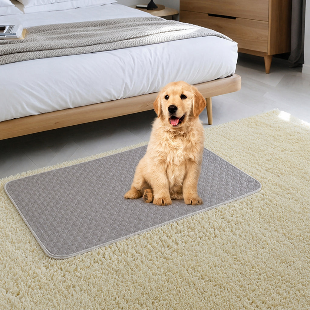 Petmarlow Quick-Absorb & Leak-Proof Washable Pet Training Pad
