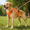 Petmarlow Reflective & Waterproof Tactical Dog Harness – ORANGE / S (14–18 in)