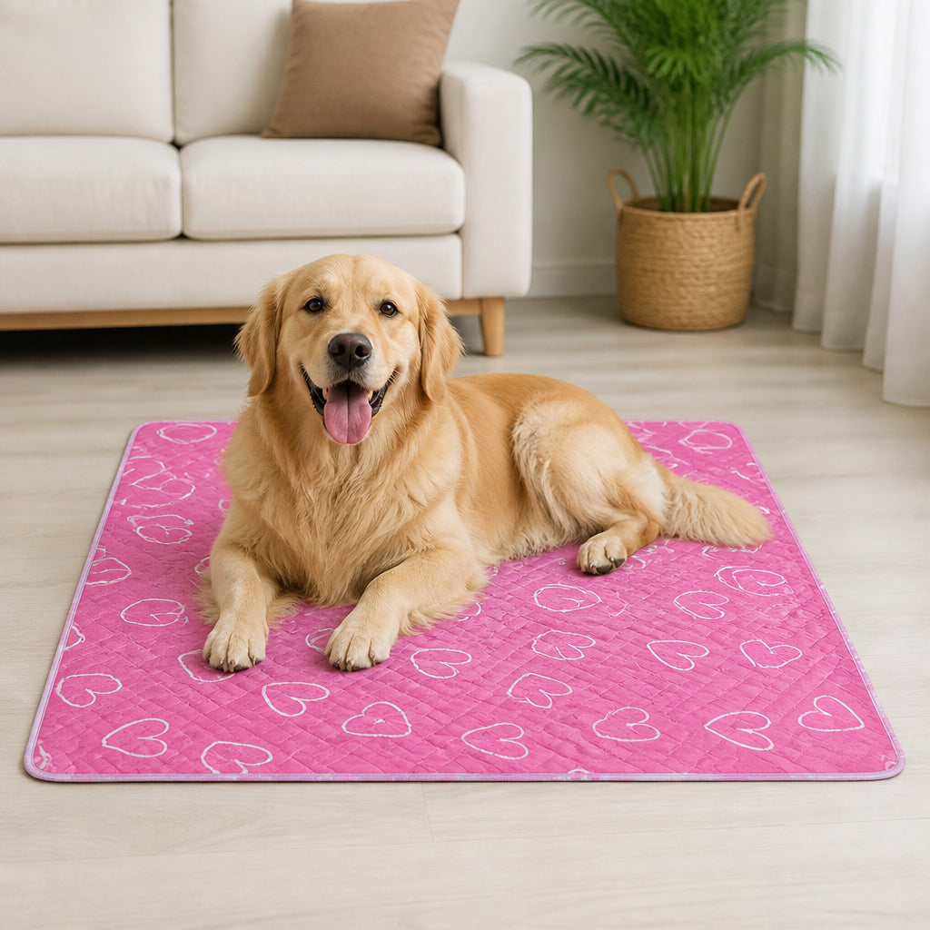 Petmarlow Reusable Machine-Washable Non-Slip Pet Pee Pad – S - 11.8 in × 15.7 in