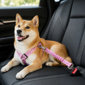 Petmarlow Shock Absorbing Adjustable Seat Belt Tether – Pink G2413G