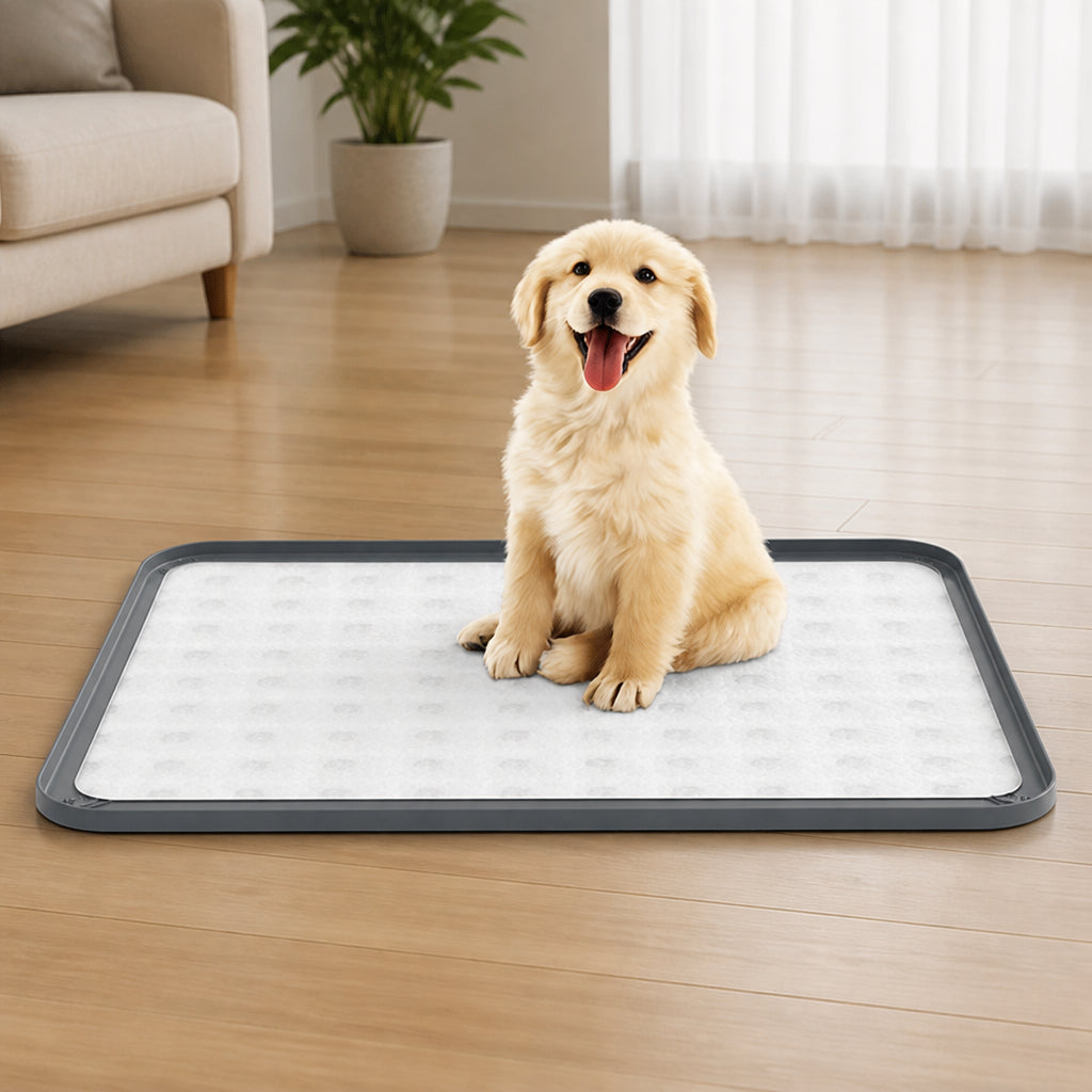 Petmarlow Silicone Leak-Proof Raised-Edge Pee Pad Holder
