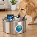 Petmarlow Stainless Steel USB Rechargeable Sensor Pet Fountain – Plus 6 chips / 0.79 gallons