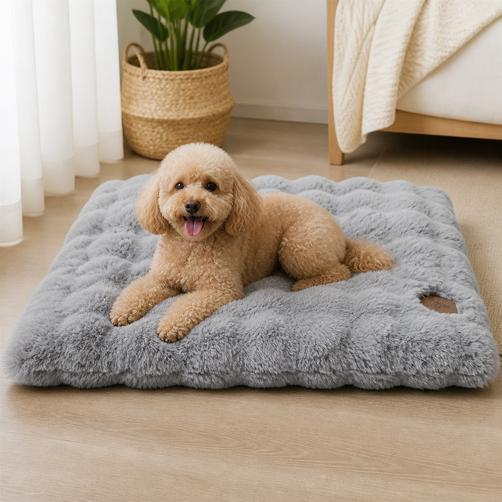 Petmarlow Thick Polyurethane Foam & Removable Cover Dog Bed – Grey / Medium: 29.92x20.08x3.94 inch