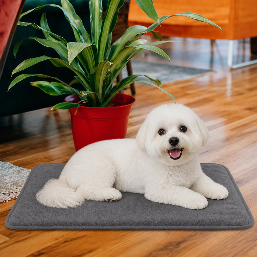 Petmarlow USB Heated & Washable Pet Pad (Detachable Heating Insert) – Grey / 11.4 × 9.8 × 0.2 inches