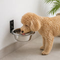 DogBedHouse Wall-Mounted Elevated Stainless Steel Pet Bowl – 6.5 × 6.5 × 2.4 in
