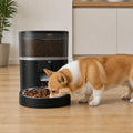 Petmarlow WiFi App Control & Stainless Steel Bowl Pet Feeder – 1 Bowl Black WiFI / US Plug
