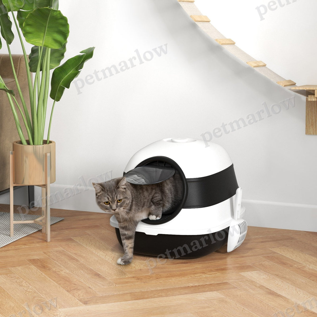 Dome Covered Cat Litter Box for Privacy and Cleanliness – view 4