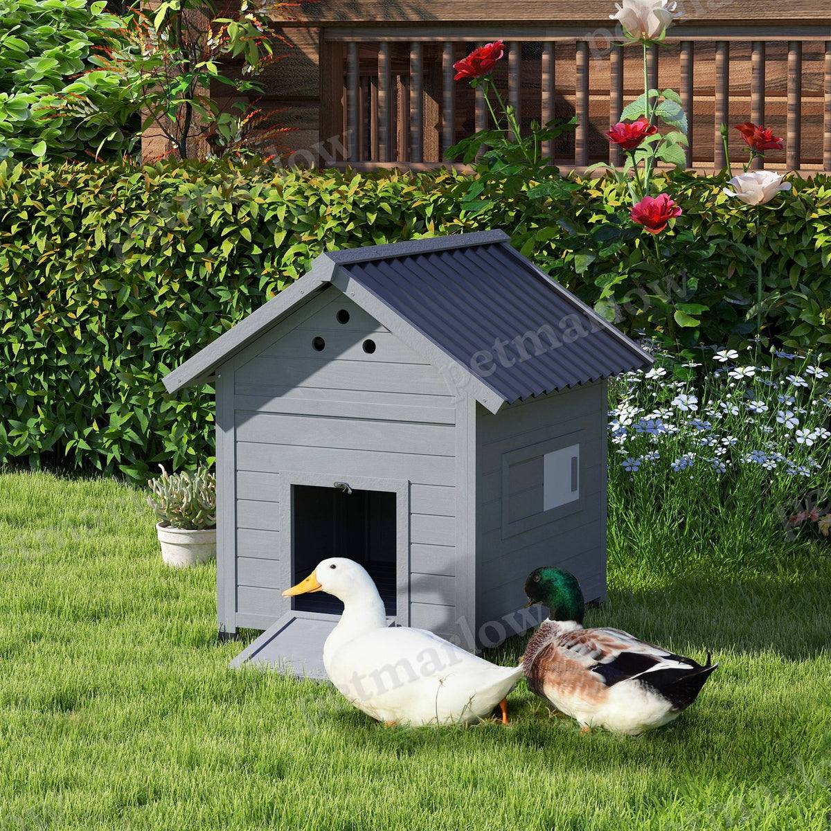 Duck House with Openable Roof & Double Doors for Poultry – view 6