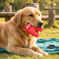 Durable Dog Dental Chew Toy – Tooth Cleaning Monster in Dog Colors – Red